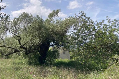Landejendom i El Perello, Tarragona, El Perello - € 74.000 | Ref: FincaVistaValle - foto 26